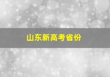 山东新高考省份