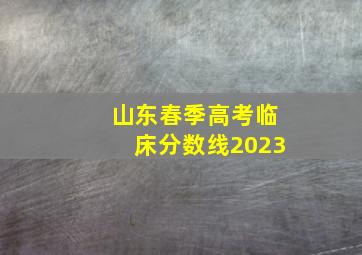 山东春季高考临床分数线2023