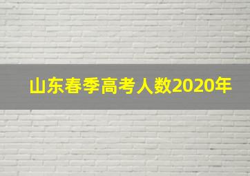 山东春季高考人数2020年