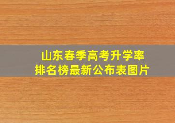 山东春季高考升学率排名榜最新公布表图片