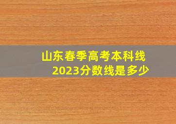 山东春季高考本科线2023分数线是多少