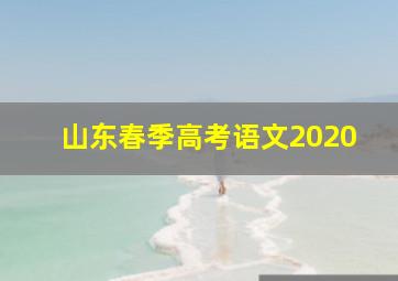 山东春季高考语文2020