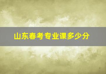 山东春考专业课多少分