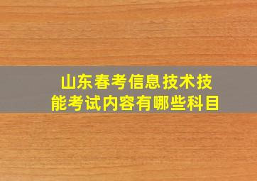 山东春考信息技术技能考试内容有哪些科目