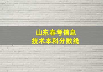 山东春考信息技术本科分数线