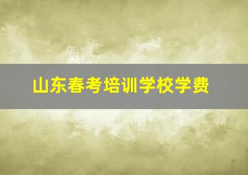 山东春考培训学校学费