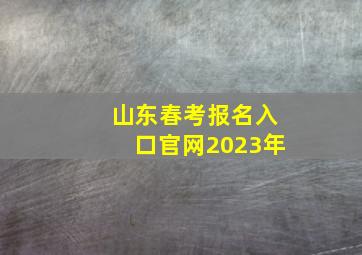 山东春考报名入口官网2023年