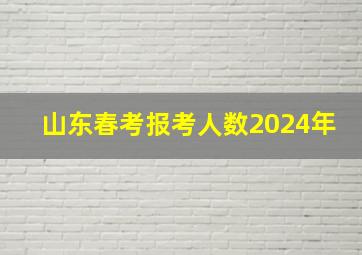 山东春考报考人数2024年