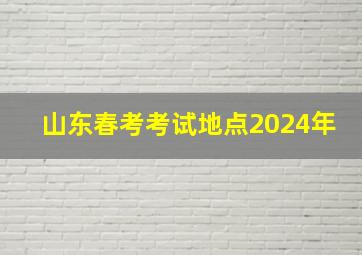 山东春考考试地点2024年