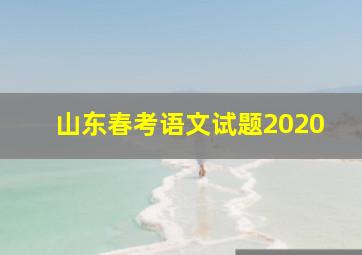 山东春考语文试题2020