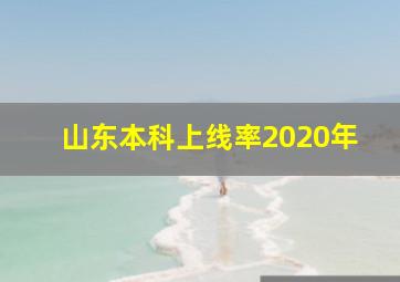 山东本科上线率2020年