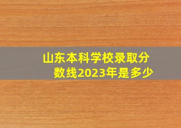 山东本科学校录取分数线2023年是多少