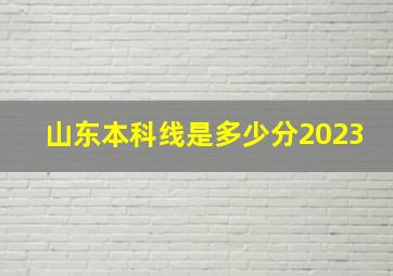 山东本科线是多少分2023