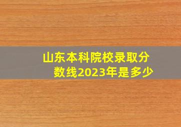 山东本科院校录取分数线2023年是多少