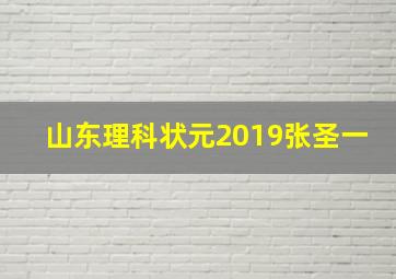 山东理科状元2019张圣一