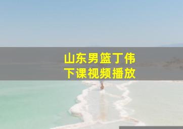 山东男篮丁伟下课视频播放