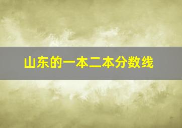 山东的一本二本分数线