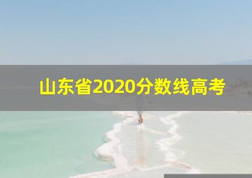 山东省2020分数线高考