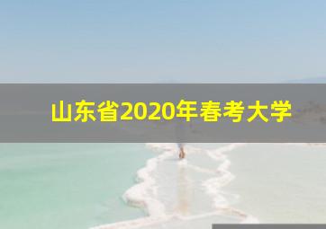 山东省2020年春考大学