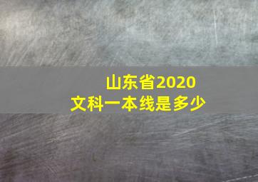 山东省2020文科一本线是多少