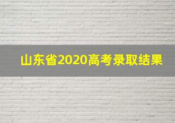 山东省2020高考录取结果