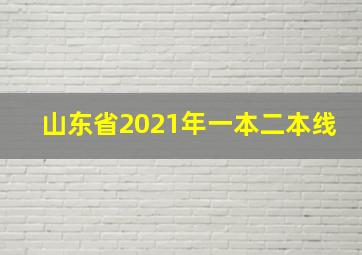 山东省2021年一本二本线