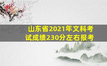 山东省2021年文科考试成绩230分左右报考