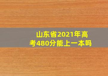 山东省2021年高考480分能上一本吗