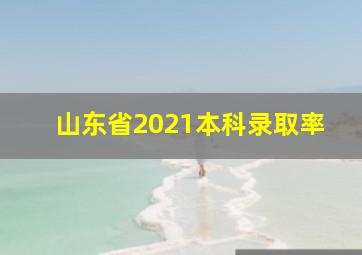 山东省2021本科录取率