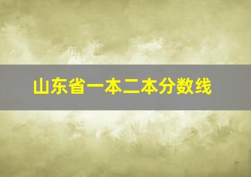 山东省一本二本分数线