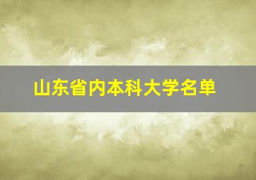 山东省内本科大学名单