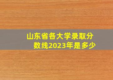 山东省各大学录取分数线2023年是多少