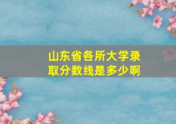 山东省各所大学录取分数线是多少啊