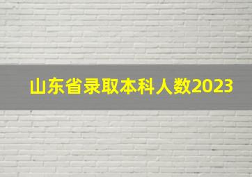 山东省录取本科人数2023