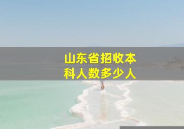 山东省招收本科人数多少人