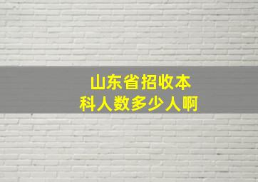 山东省招收本科人数多少人啊