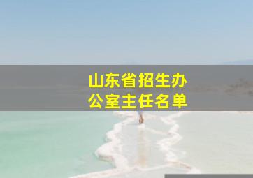 山东省招生办公室主任名单