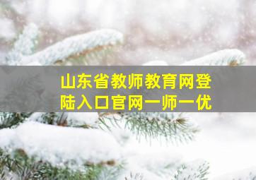 山东省教师教育网登陆入口官网一师一优