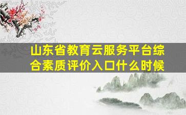 山东省教育云服务平台综合素质评价入口什么时候