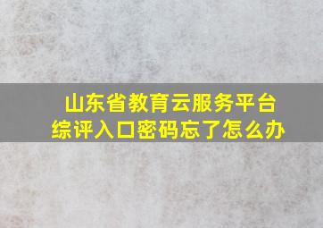 山东省教育云服务平台综评入口密码忘了怎么办