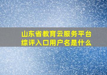 山东省教育云服务平台综评入口用户名是什么