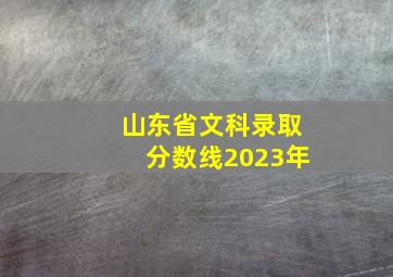 山东省文科录取分数线2023年