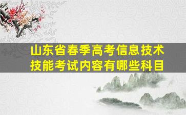 山东省春季高考信息技术技能考试内容有哪些科目