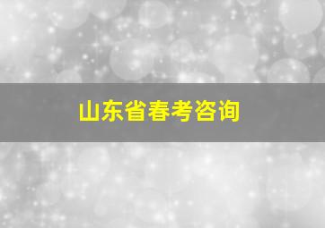 山东省春考咨询