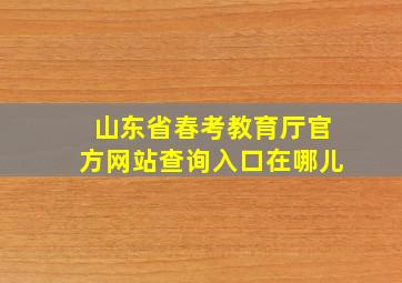 山东省春考教育厅官方网站查询入口在哪儿