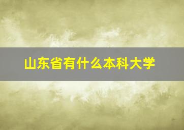 山东省有什么本科大学