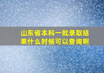 山东省本科一批录取结果什么时候可以查询啊