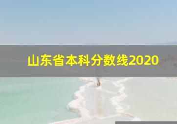 山东省本科分数线2020