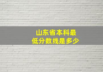 山东省本科最低分数线是多少