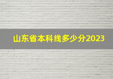 山东省本科线多少分2023